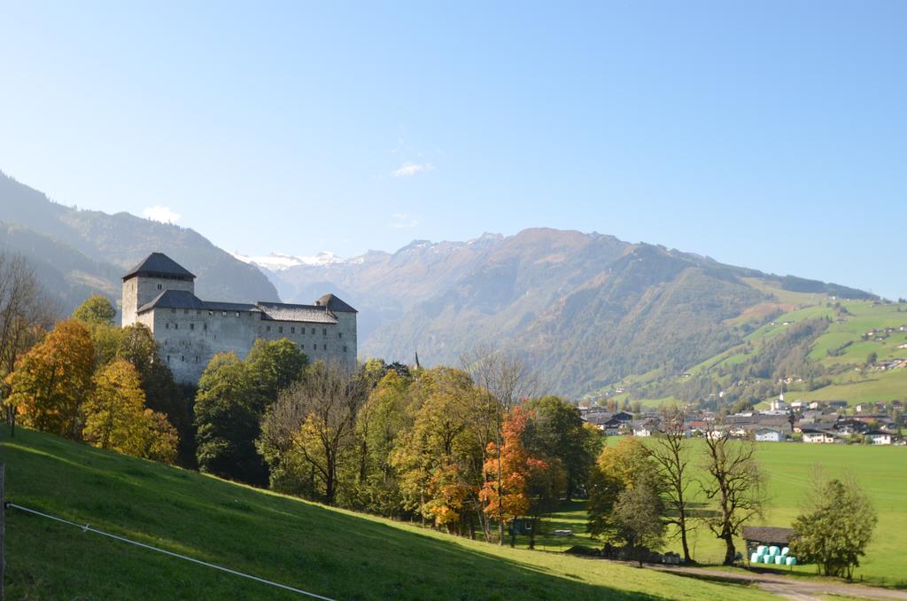 Mountain View Near Kaprun - Steinbock Lodges Piesendorf Buitenkant foto